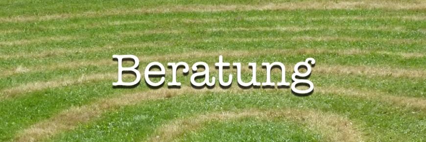 Beratung